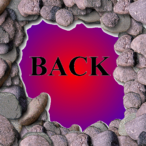 DOES THIS LOOK REAL?